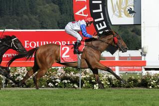 Savvy Coup's (NZ) (Savabeel) win in the Group 1 New Zealand Oaks has boosted the South Island Sale.